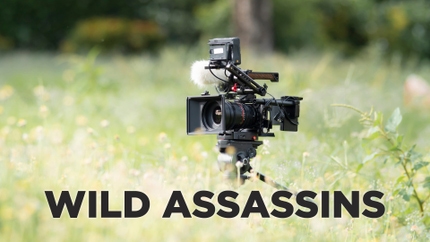 Wild Assassins on Animal Planet HD Tamil
