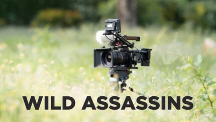 Wild Assassins on Animal Planet English