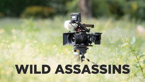 Wild Assassins Episode 4 on Animal Planet HD English - past program