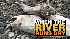 When the River Runs Dry on DocuBay - past program