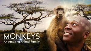 Monkeys: An Amazing Animal Family on Animal Planet HD English - past program
