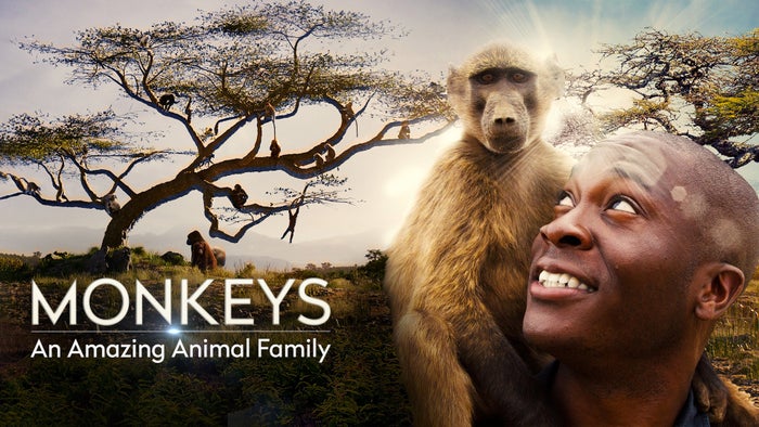 Monkeys: An Amazing Animal Family Episode No.1 on JioTV