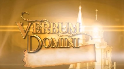 Verbum Domini on Goodness