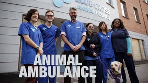 Inside Animal A&E Episode 7 on INWILD - past program