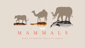 Mammals on Sony BBC Earth SD - past program