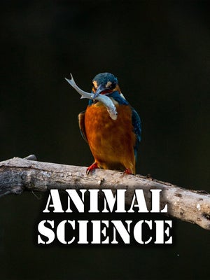 Animal Science Episode 12 on INWILD - past program