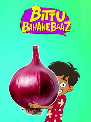 Bittu Bahanebaaz on Nick Kannada - past program