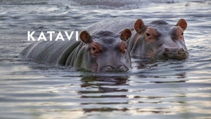 Katavi - Africa's Fallen Paradise Episode 3 on Nat Geo Wild HD - future program