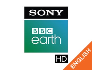 Sony BBC Earth HD English on Sony BBC Earth HD English - past program