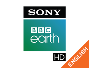Sony BBC Earth HD English on Sony BBC Earth HD English - past program