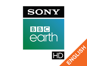 Sony BBC Earth HD English on Sony BBC Earth HD English - past program
