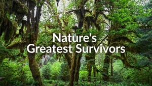 Nature's Greatest Survivors on Animal Planet HD English - past program