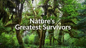 Nature's Greatest Survivors on Animal Planet HD Hindi - past program