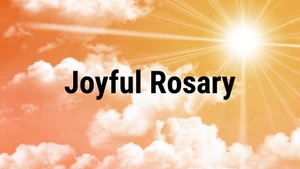 Joyful Rosary on Madha TV - past program