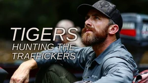 Tigers: Hunting the Traffickers on Sony BBC Earth SD - past program