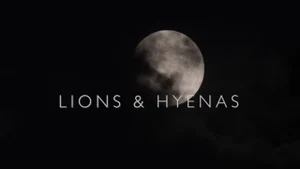 Lions & Hyenas on Animal Planet Hindi