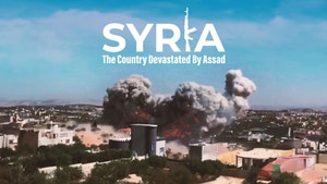 Syria: The country devastated by Assad on DocuBay - past program