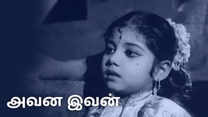 Avana Ivan on Raj Digital Plus - past program