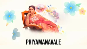 Priyamanavale on Kalaignar TV - past program