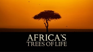 Africa's Trees Of Life on Animal Planet Hindi