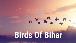 Birds Of Bihar on Discovery Hindi - past program
