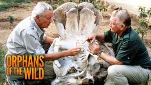 Orphans of the Wild on INWILD - past program