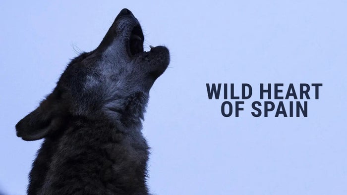 Wild Heart Of Spain on JioTV