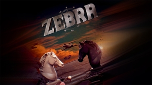 Zebra on Sony Max HD - past program
