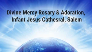 Divine Mercy Rosary & Adoration, Infant Jesus Cathesral, Salem on Madha TV - past program