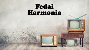 Fedai Harmonia on Goodness - past program