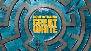 How to Train a Great White on Animal Planet HD Hindi - past program