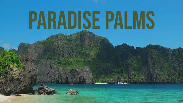Paradise Palms on JioTV
