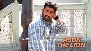 Asok The Lion on Colors Tamil HD - past program