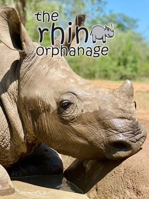 Rhino Orphanage Episode 5 on INWILD - past program