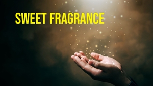 Sweet Fragrance on Shubhsandesh TV - past program