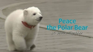 Peace The Polar Bear: 25 Years Together on NHK World Japan - past program