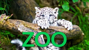 The Zoo on Discovery Science - past program