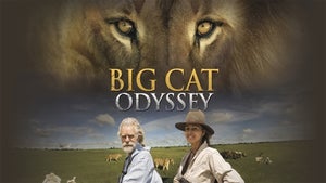 Big Cat Odyssey on Nat Geo Wild HD - future program