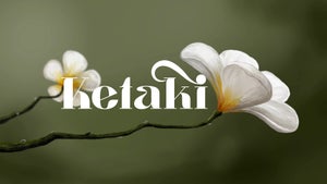 Ketaki on Pocket Films - past program