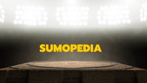 Sumopedia on NHK World Japan - past program