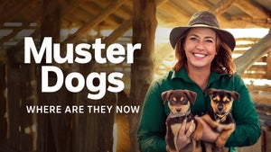 Muster Dogs: Where Are They Now on ABC Australia - past program