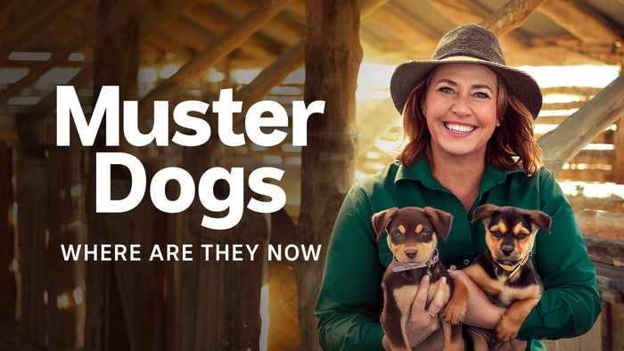 Muster Dogs: Where Are They Now on JioTV
