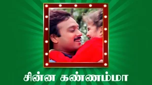 Chinna Kannamma on Polimer TV