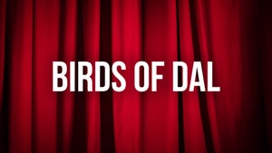 Birds Of Dal on DD Kashir - future program