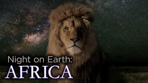 Night on Earth: Africa on Animal Planet Hindi - past program