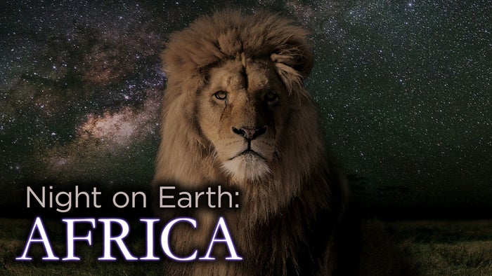 Night on Earth: Africa on JioTV