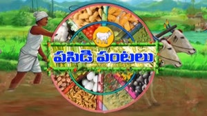 Pasidipantalu on DD Saptagiri - live program