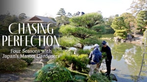 Chasing Perfection : Four Seasons With Japan's Master Garden on NHK World Japan