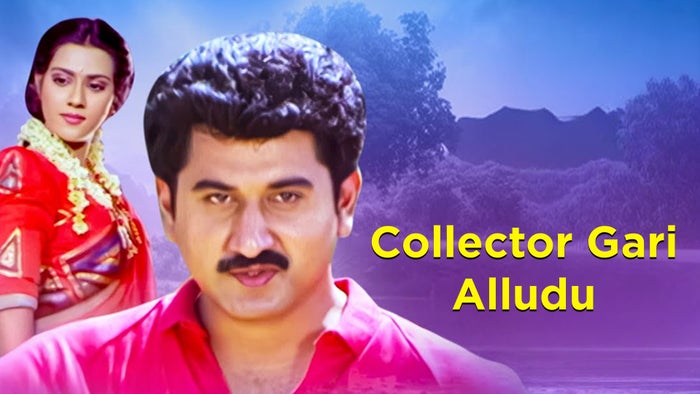 Collector Gari Alludu on JioTV