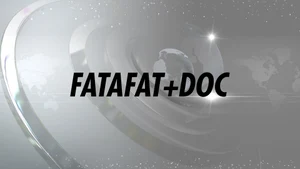 Fatafat+doc on India News Haryana